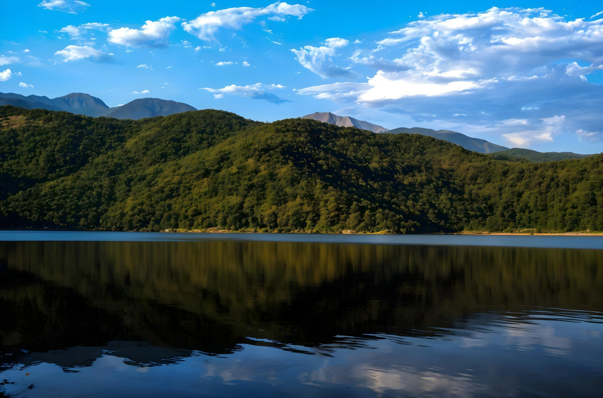 freepik__enhance__79961